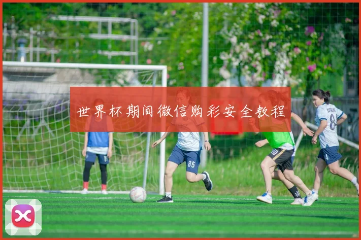 世界杯期间微信购彩安全教程