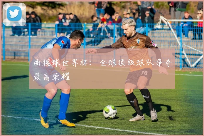 曲棍球世界杯：全球顶级球队争夺最高荣耀