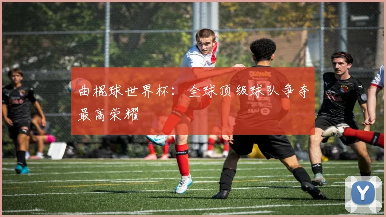 曲棍球世界杯：全球顶级球队争夺最高荣耀