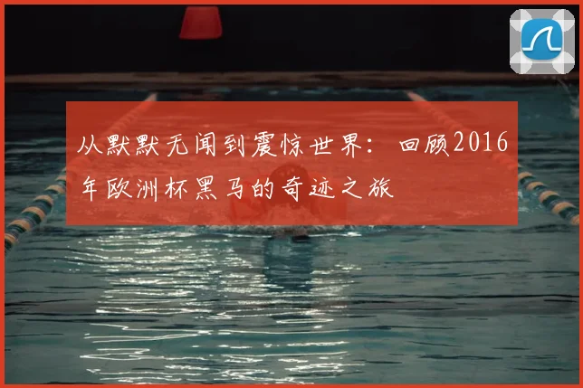 从默默无闻到震惊世界:回顾2016年欧洲杯黑马的奇迹之旅