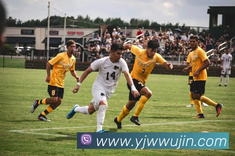 mksports官方网站平台生态图